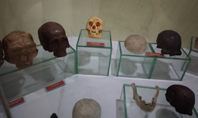 Koleksi di Museum Lampung