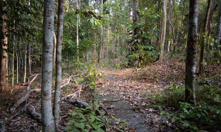 Hutan Wisata Dumai