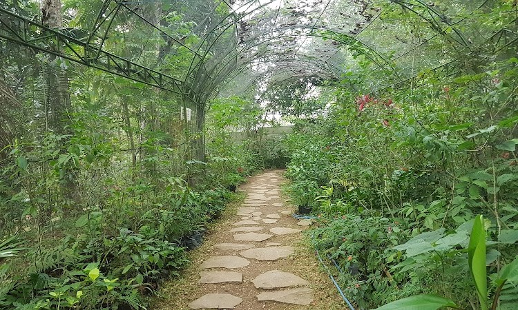 Taman Kupu Gita Persad
