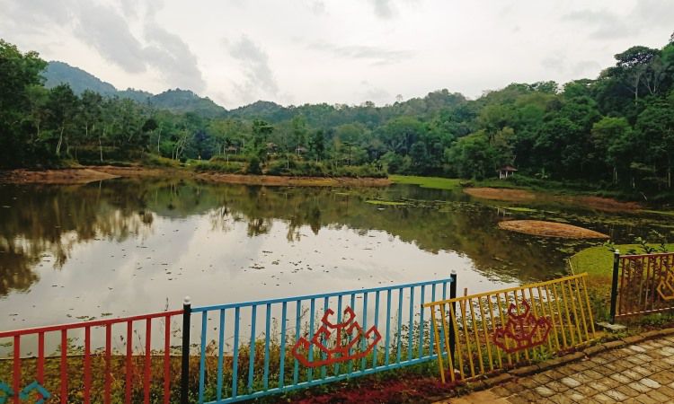 Danau Telogo Rejo Sendang Baru