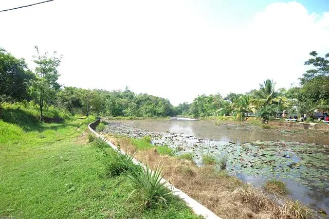 Danau Kalimancalak