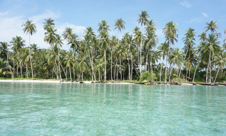 Pulau Asok