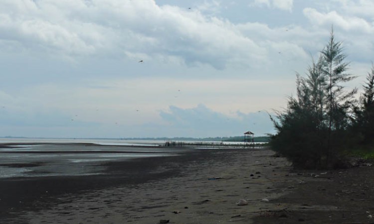 Pantai Cemara