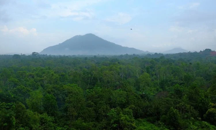 Gunung Bintan, Kepulauan Riau