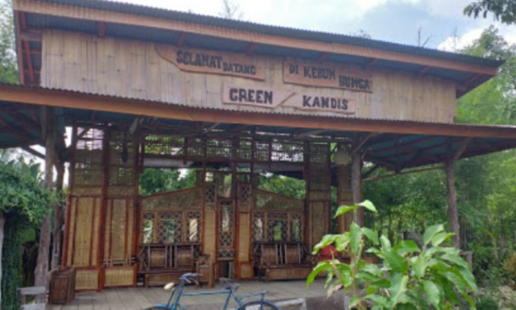 Green Kandis Bangko