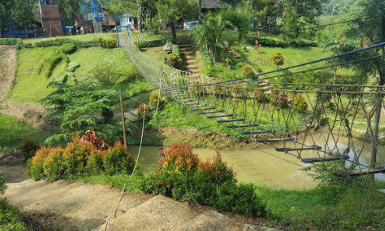 Daya Tarik Kebun Binatang Medan