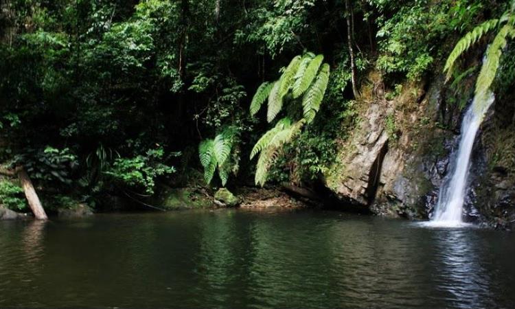 Air Terjun Batu Dinding