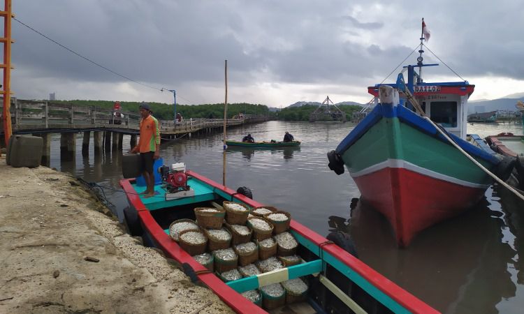 Aktivitas Pulau Pasaran Lampung_compressed