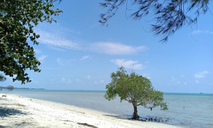 Daya Tarik Dimiliki Pantai Tanjung Pendam Belitung