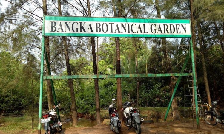Tiket Bangka Botanical Garden
