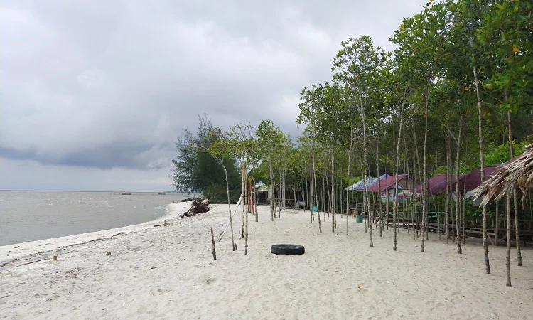 Alamat Pantai Mangrove