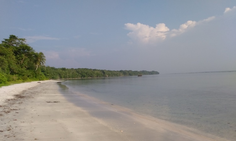 Penginapan Murah Terdekat dari Lokasi Pulau Enggano