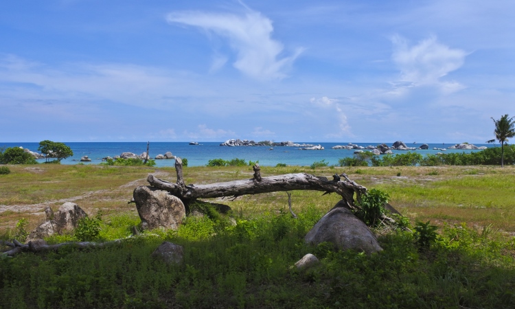 Penginapan Murah Terdekat dari Pantai Tanjung Tinggi