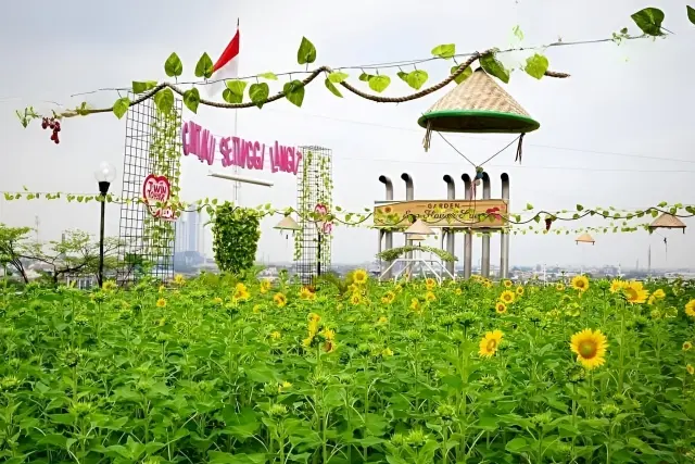 Sunflower Garden Medan