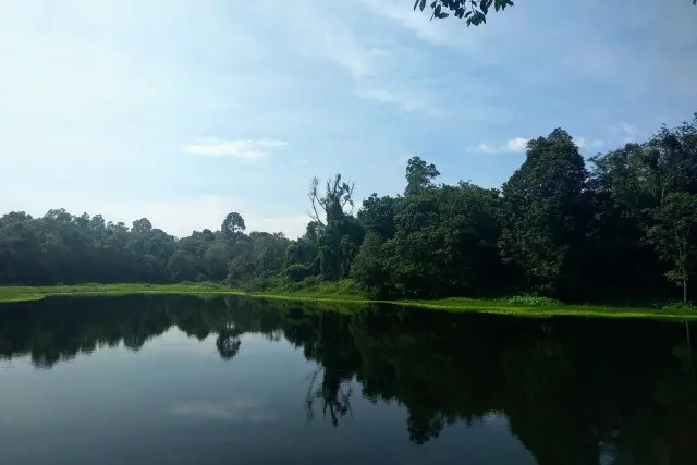 Arboretum Universitas Riau