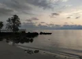 Kegiatan Pulau Maspari